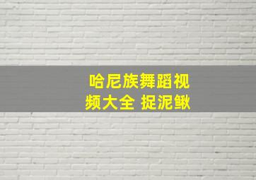 哈尼族舞蹈视频大全 捉泥鳅